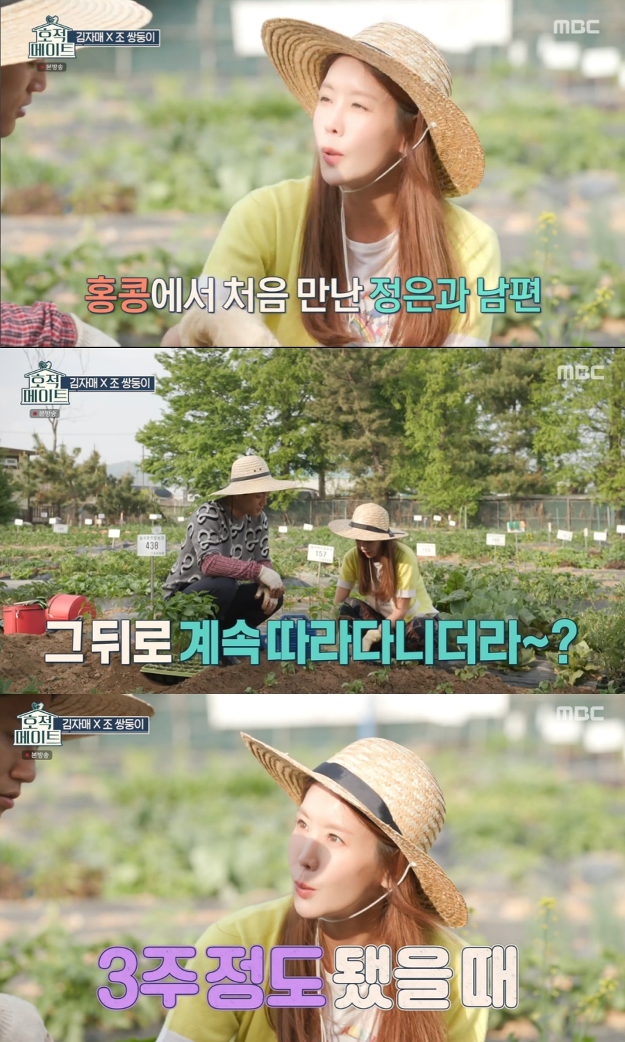 호적메이트 고양 일산 김정은 김정민 자매 리틀포레스트 주말농장 텃밭 농사 체험 추천