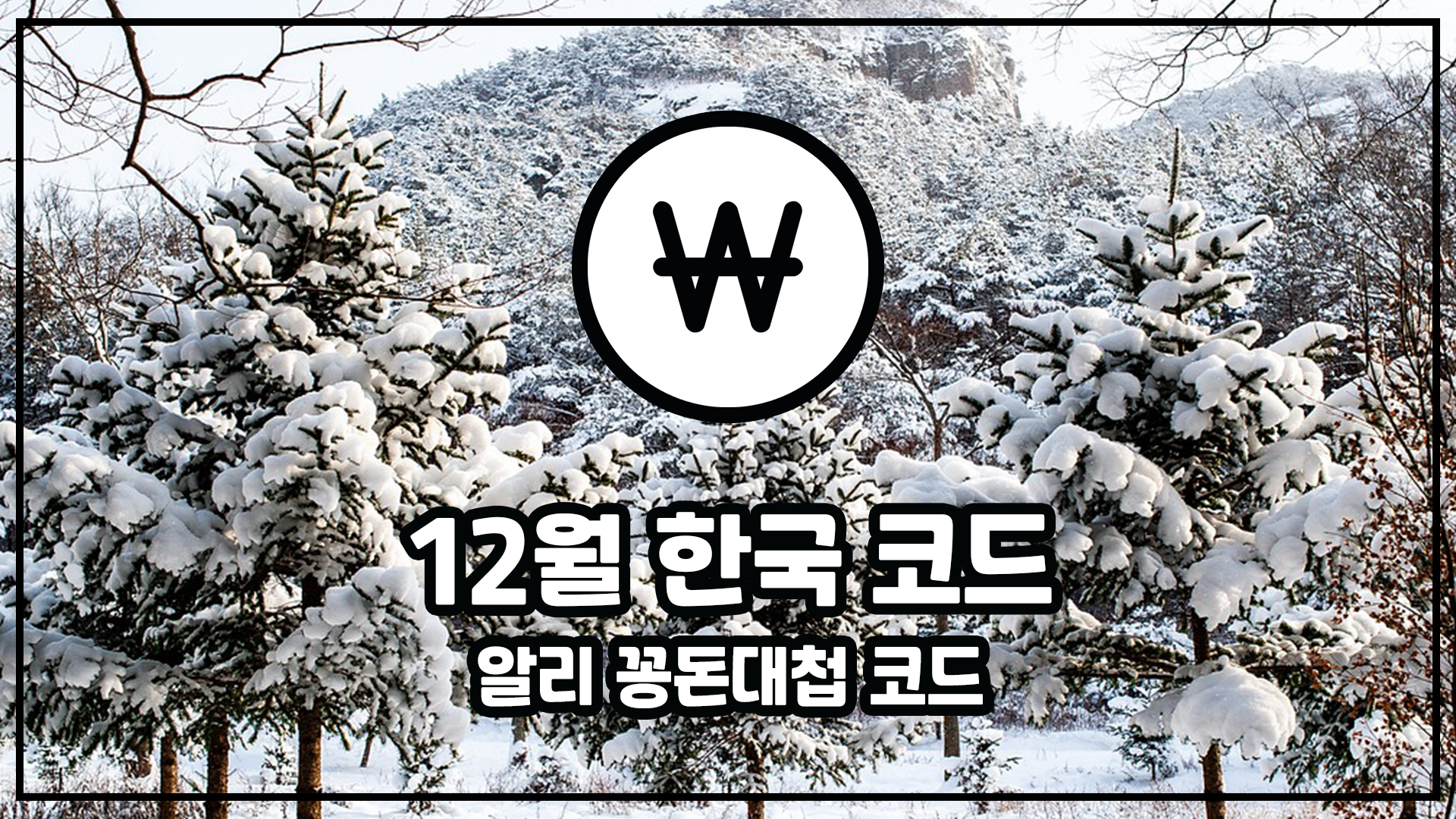 알리익스프레스 12월 한국 코드