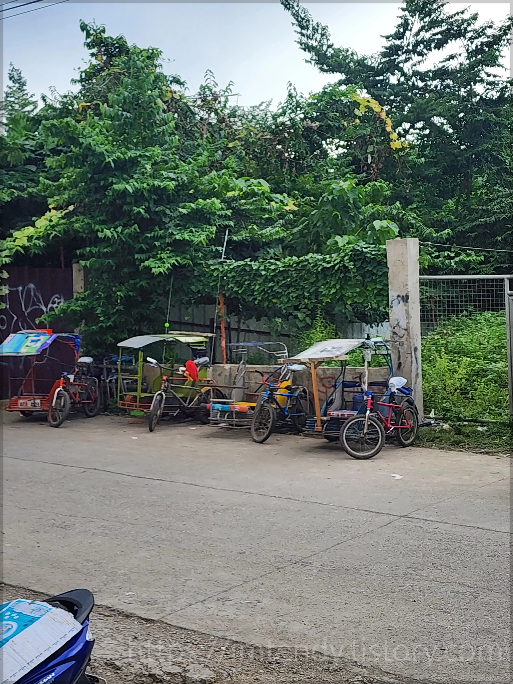 줄서있는 툭툭이 퍼티캡