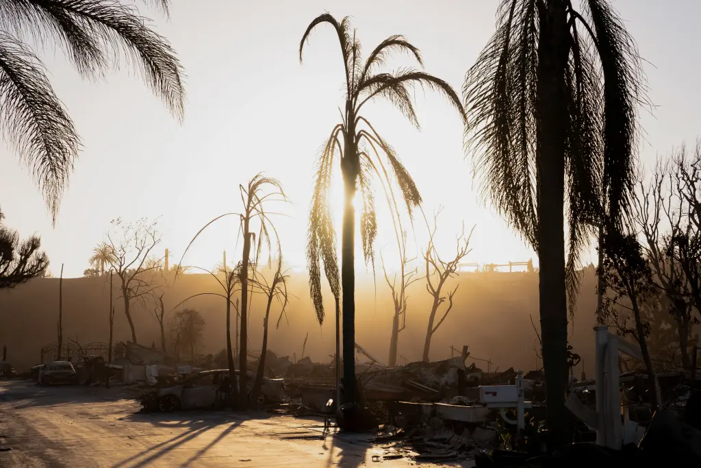 LA산불 위치원인피해범위 분석과 현재상황 알아보기