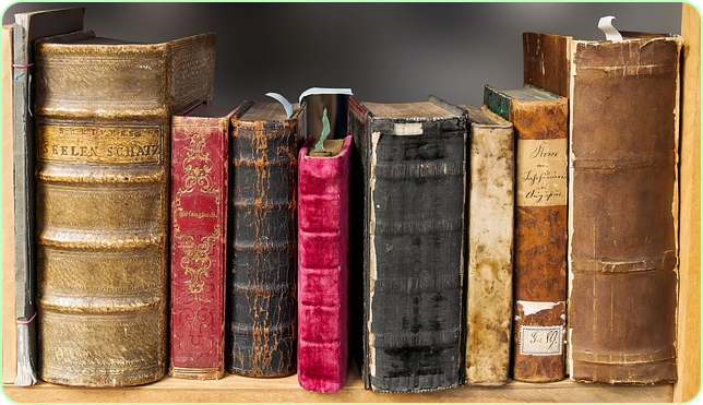 노벨문학상 한강 작품 수상작 ✅ 나이 아버지 채식주의자 고향 가족 ✅