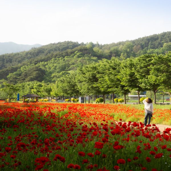 상림공원