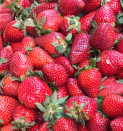 황반변성에 좋은 음식 영양제 식단