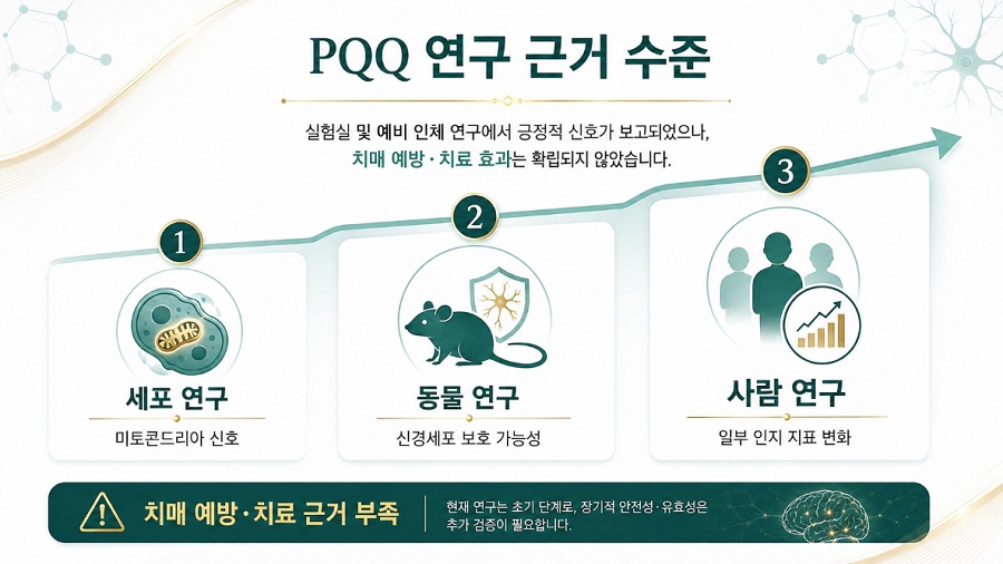 세포와 동물 및 사람 대상 연구로 나누어 살펴본 PQQ 근거 수준