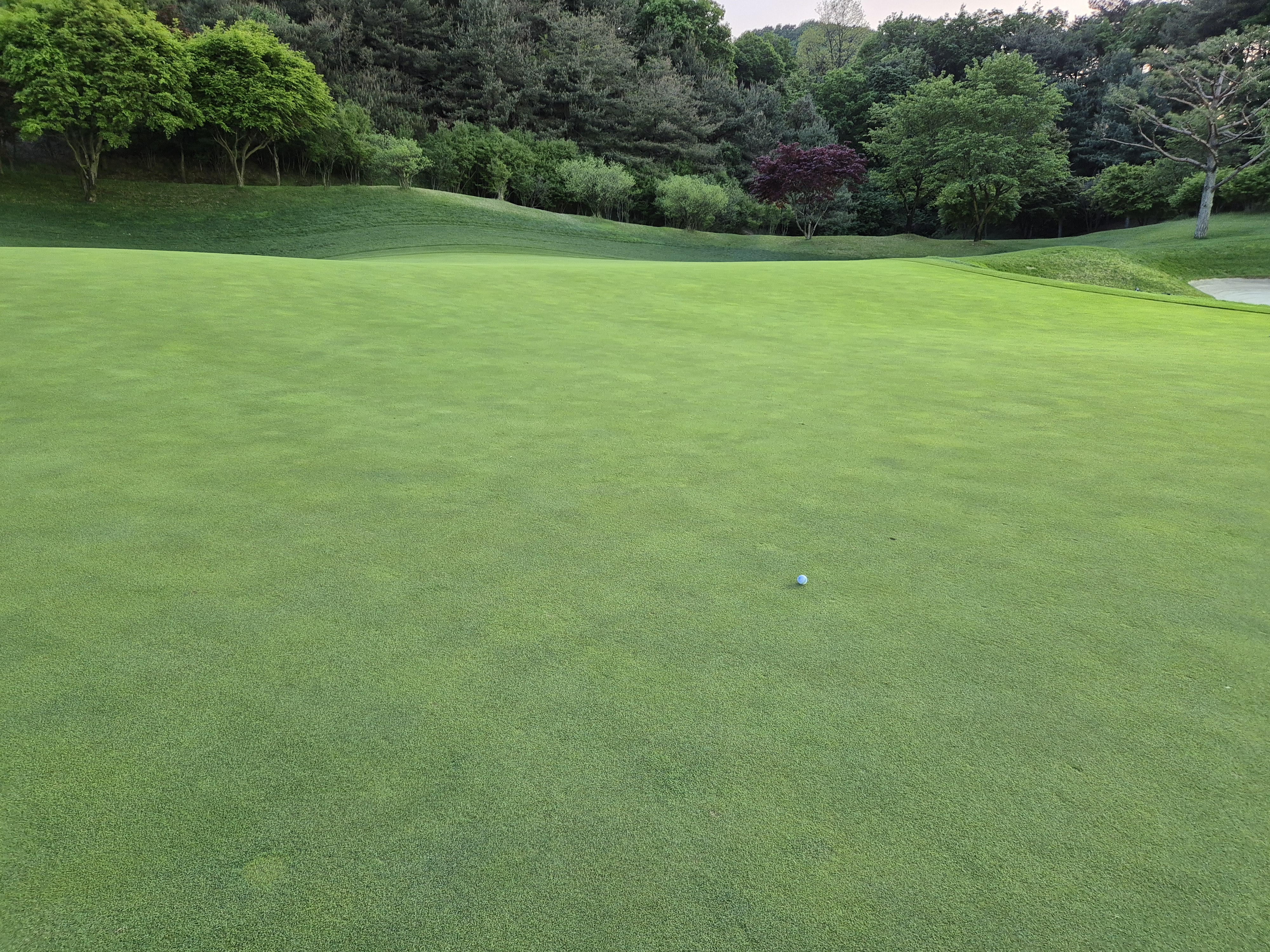 베어크리크cc 크리크코스