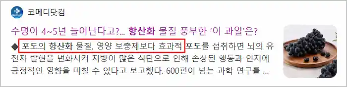포도 항산화 작용 효능 기사 이미지