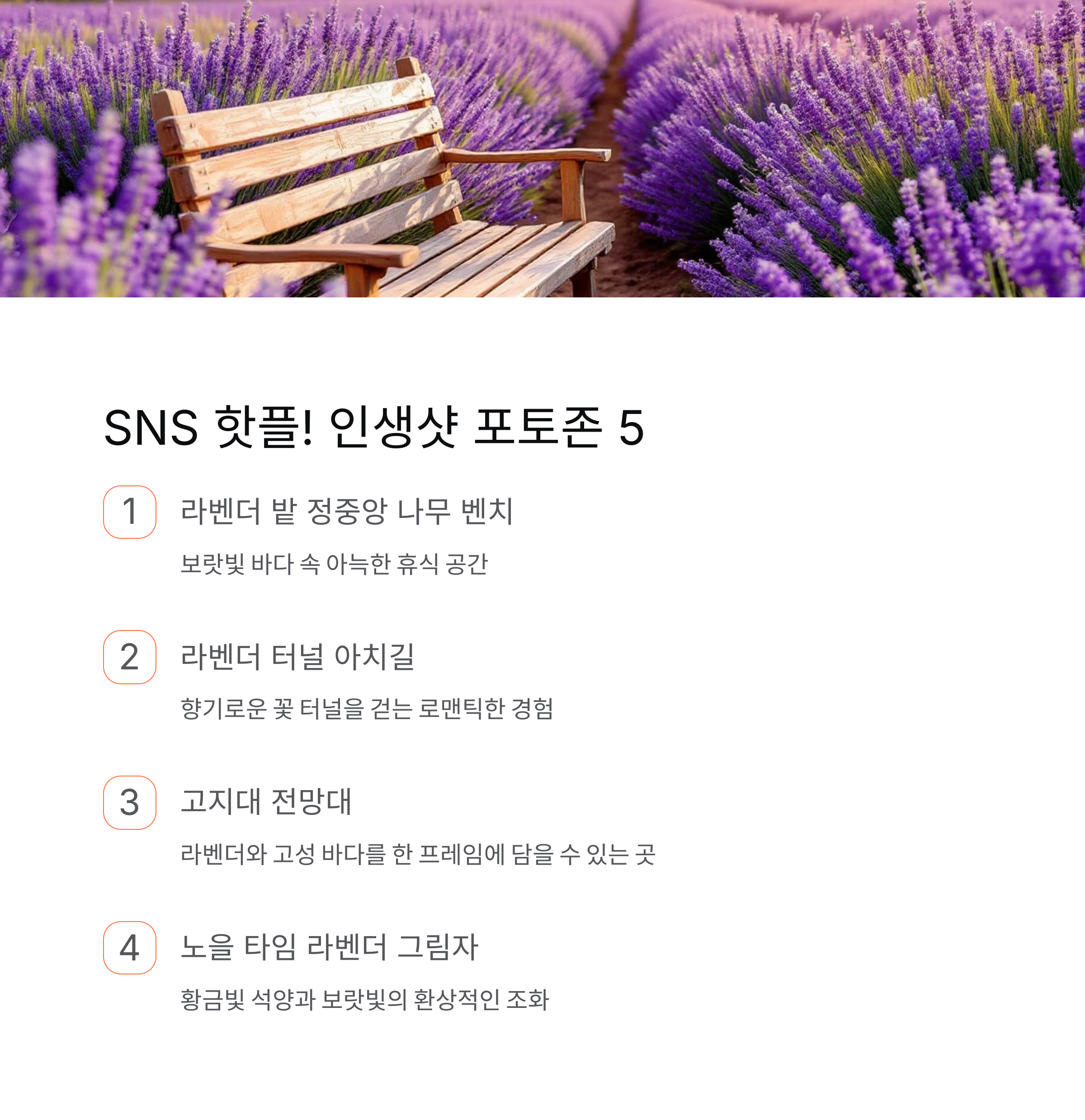 강원도 고성 하늬라벤더팜,