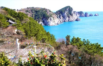 통영 연화도 수국 꽃길 산책 코스와 최적 관람 시기_18