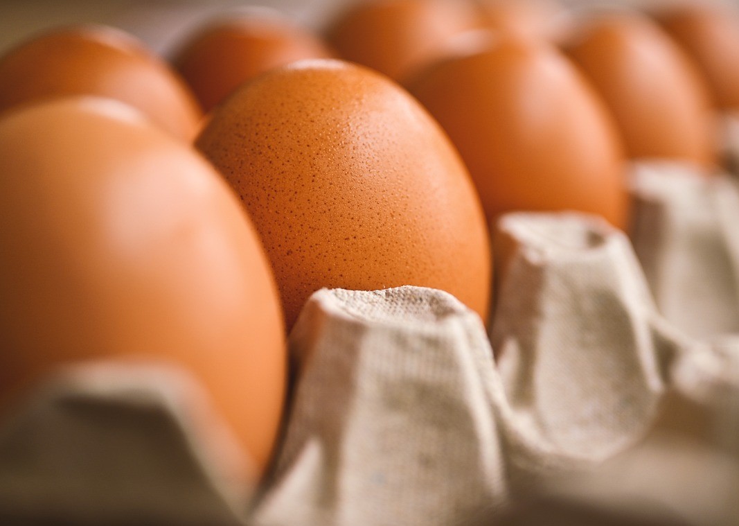 혈당 스파이크 막으려면