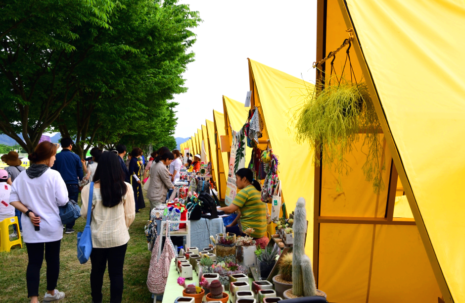 장성 황룡강 길동무 꽃길축제