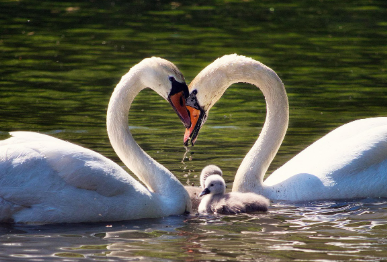 근로장려금신청