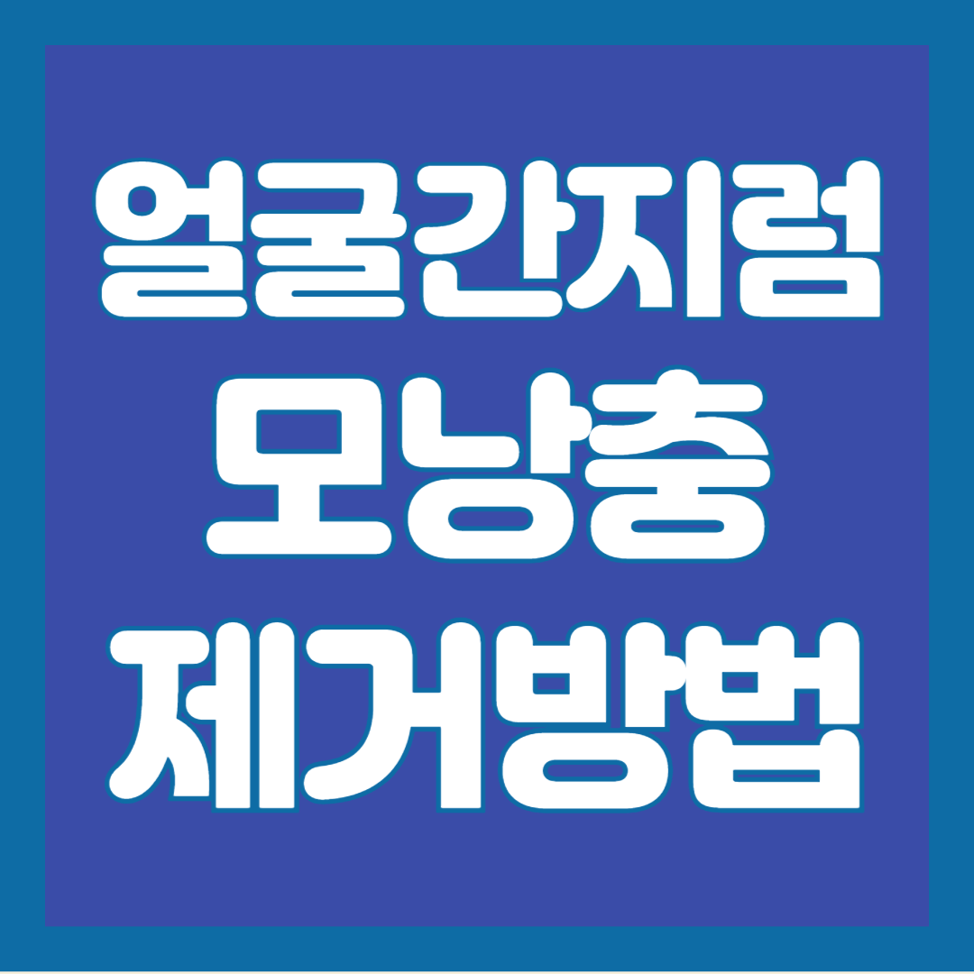 얼굴-간지러움-모낭충