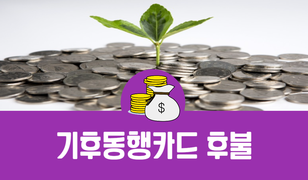 기후동행카드 후불