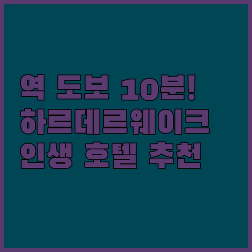 기차역 도보 10분! 네덜란드 하르데..