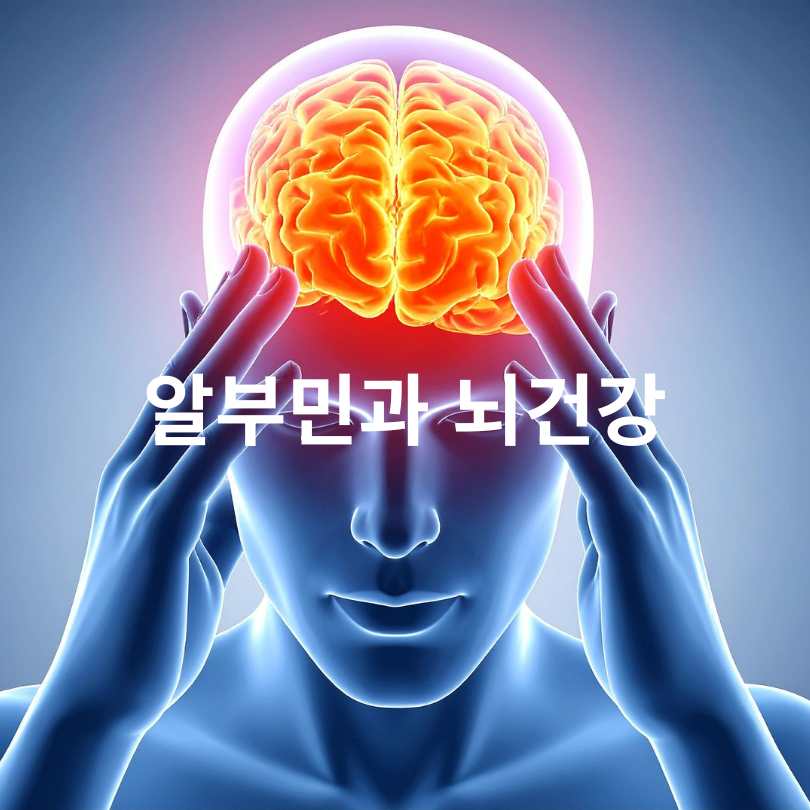 알부민 효능 총정리