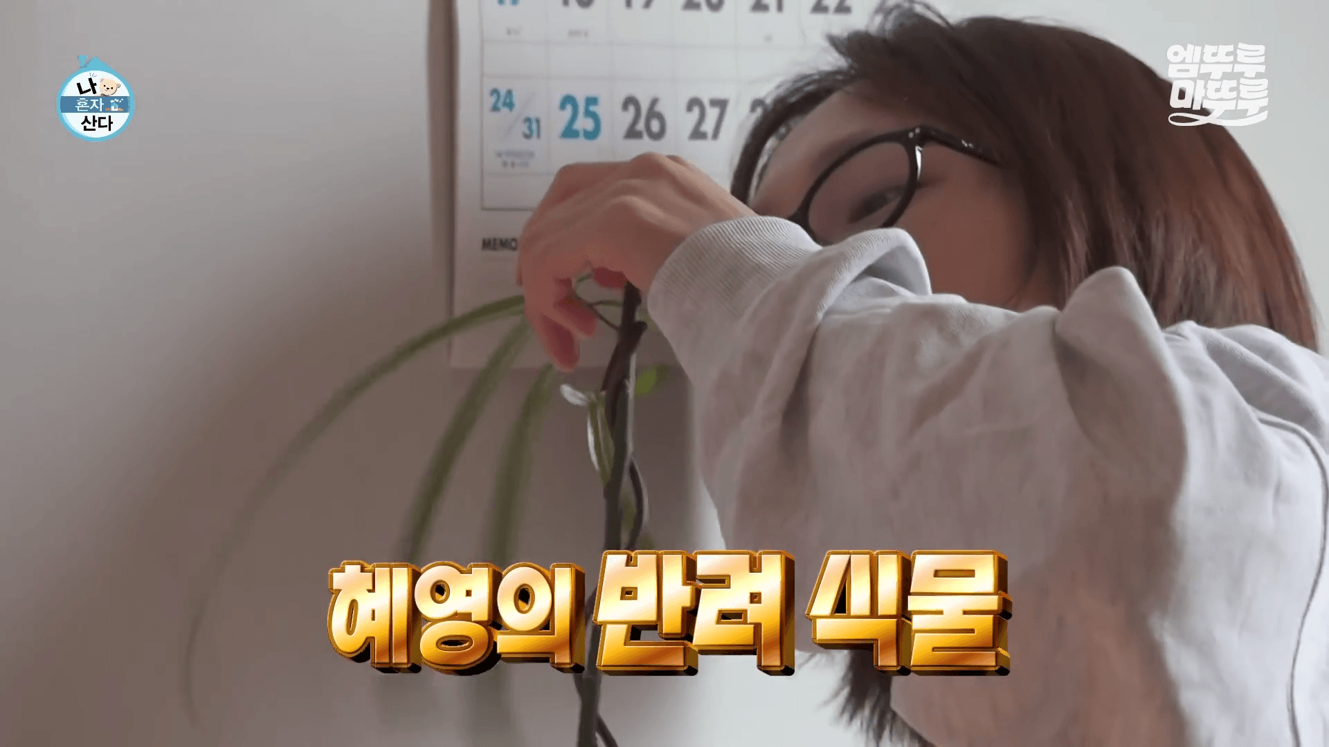 두운 방 안에서 암막 커튼을 열고 반려식물에게 햇빛을 양보하며 대화하는 류혜영 루틴 모습