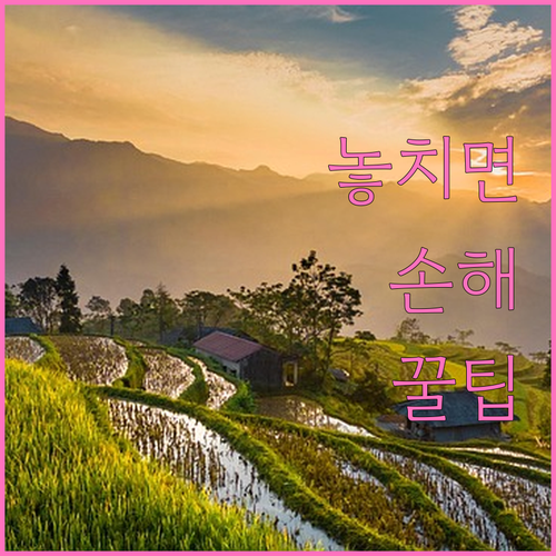 개인회생 절차 완벽 가이드 회생위원과