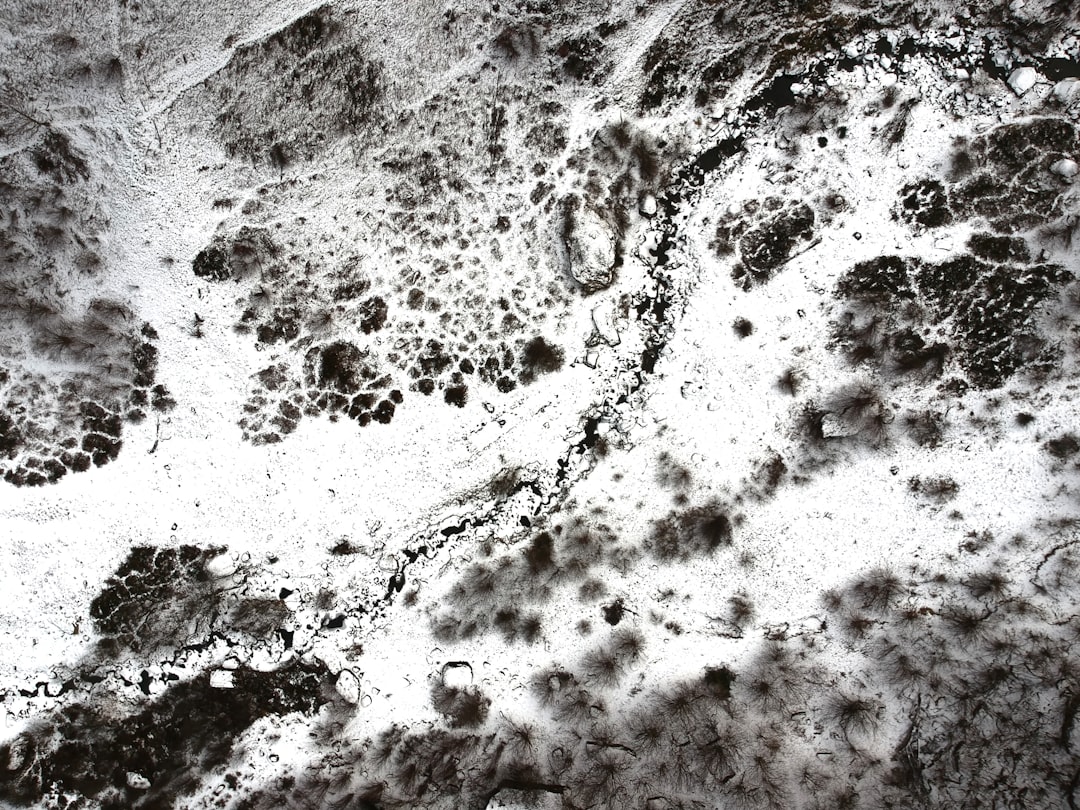 Mold