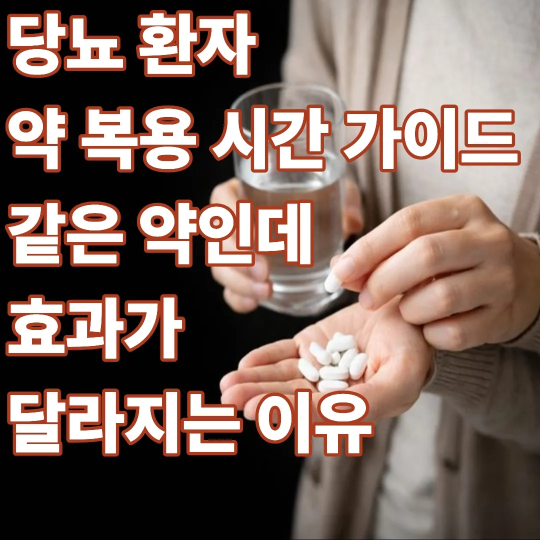 당뇨 환자 약 복용 시간 가이드 : 같은 약인데 효과가 달라지는 이유