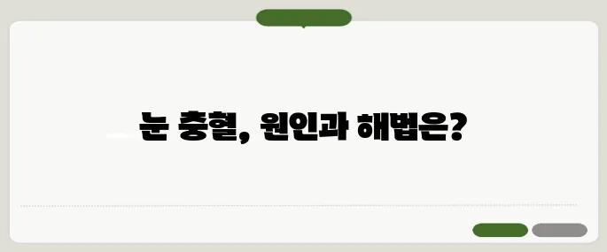 눈 충혈 원인과 빨리 없애는 방법
