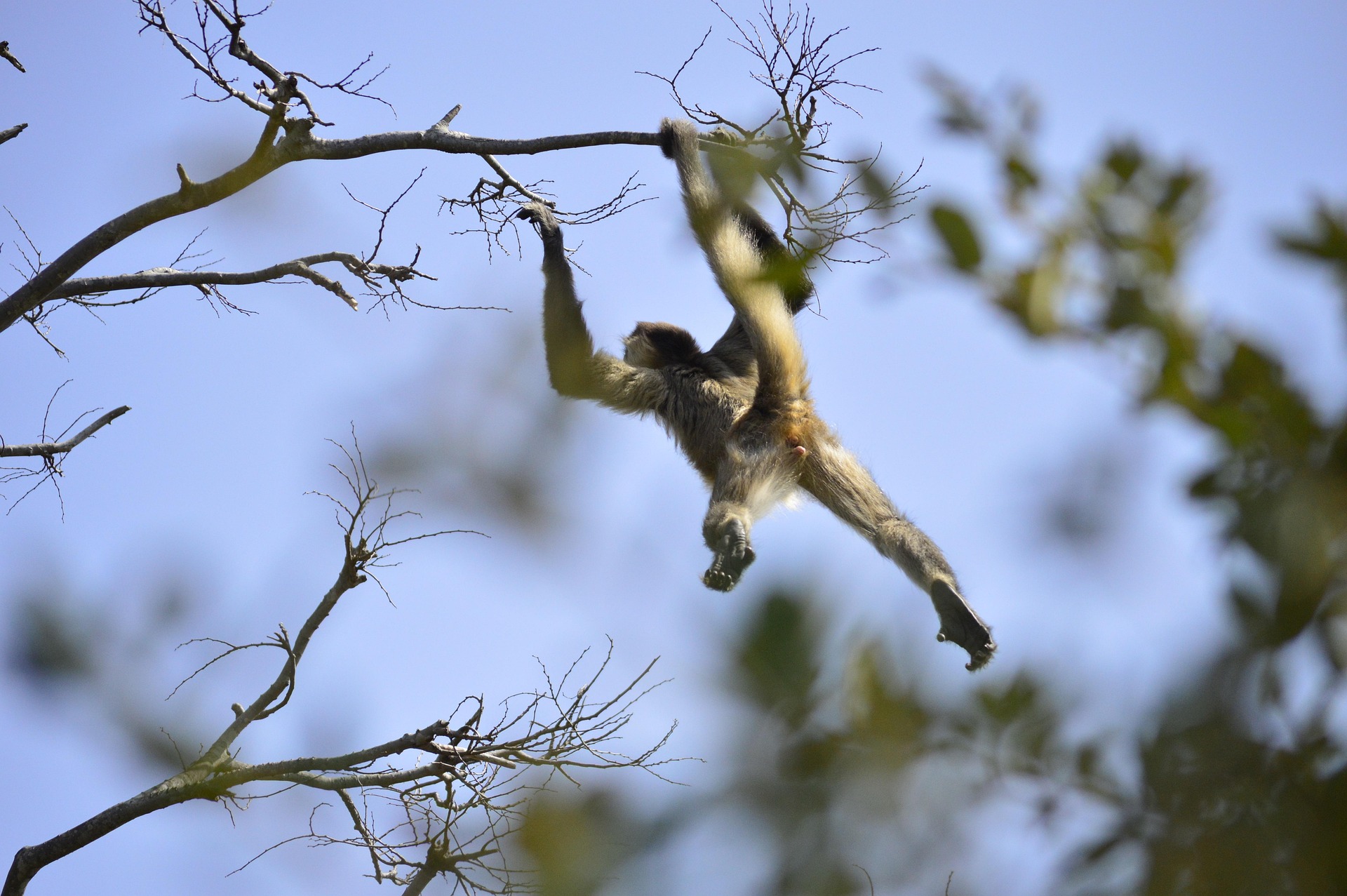 요양보호사 자격증 비용