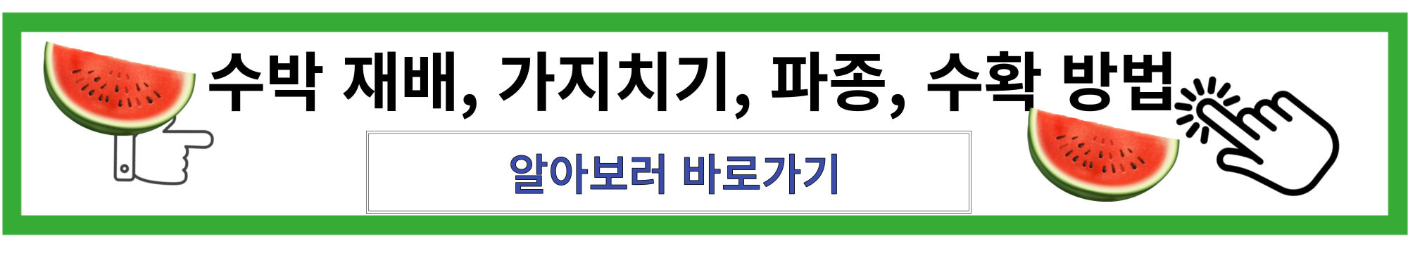 수박 재배 방법