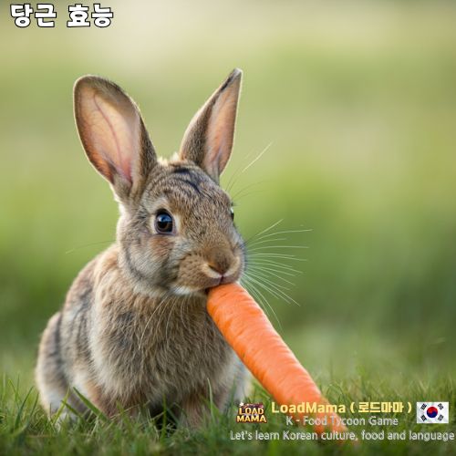 당근 먹고 있는 토끼
