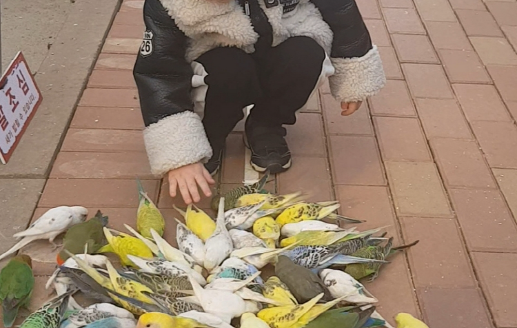 파주 퍼스트가든