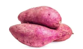 고구마 삶는법 맛있게 황금레시피 효능 칼로리_6