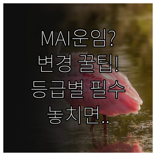 MAI 항공권 운임 등급별 좌석 변경..