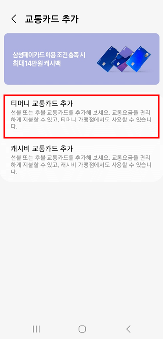 삼성페이