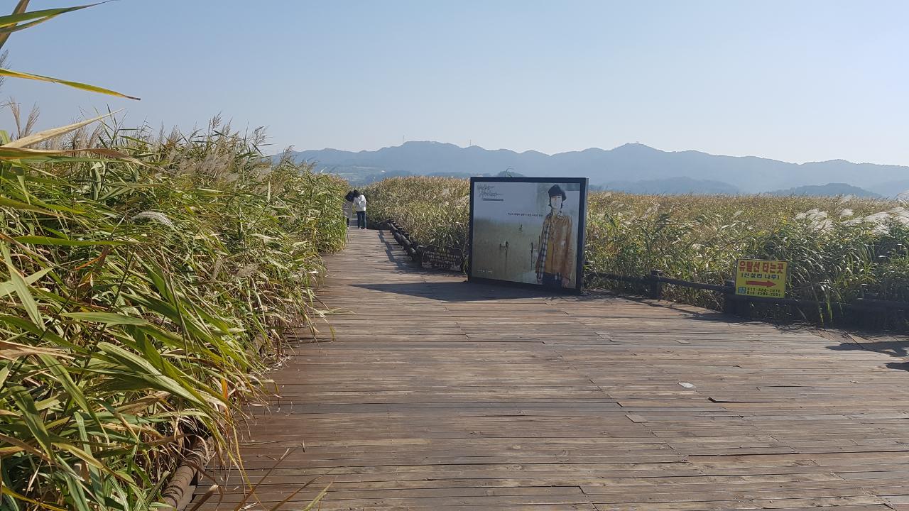 충남가볼만한곳