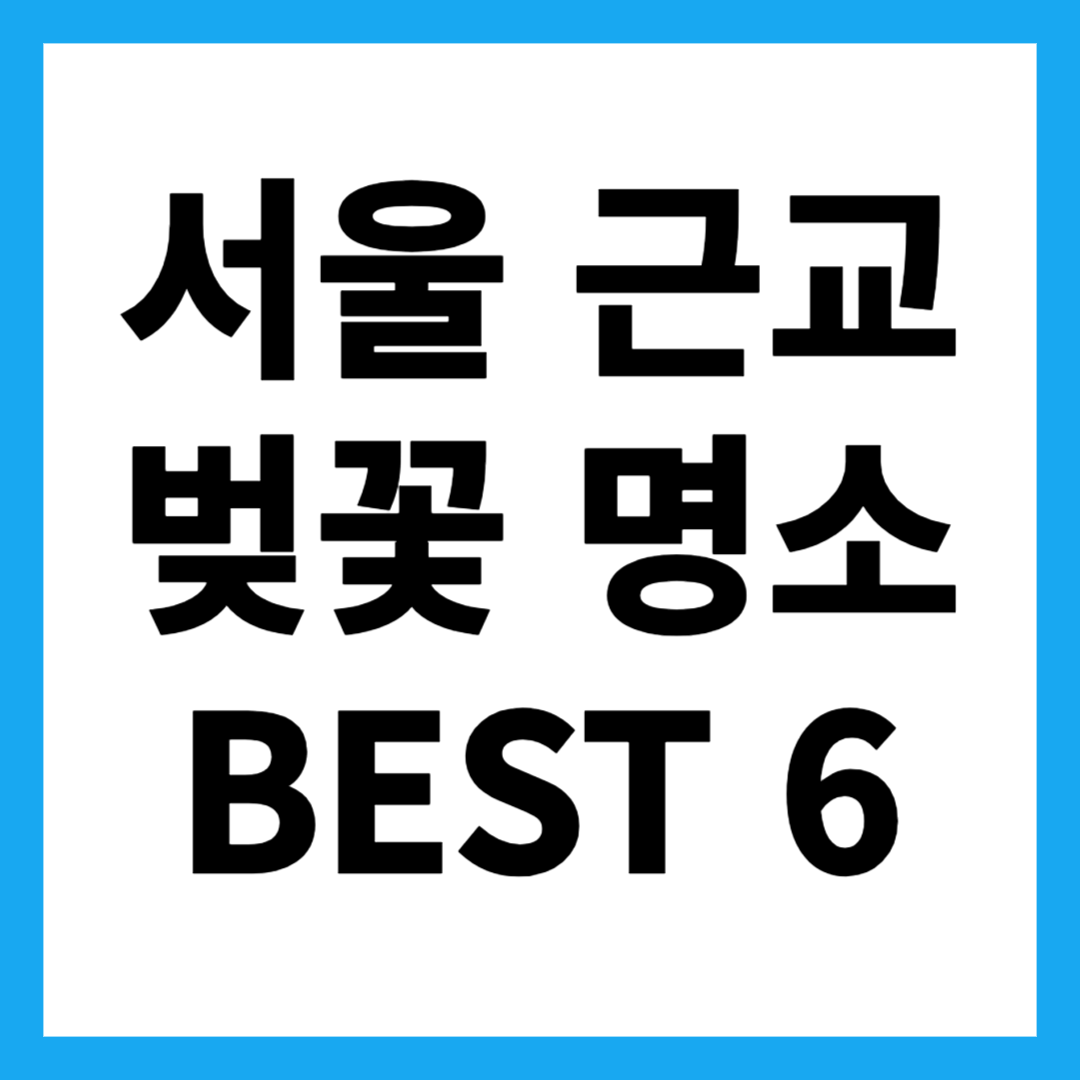 서울 근교 벚꽃 명소 BEST 6