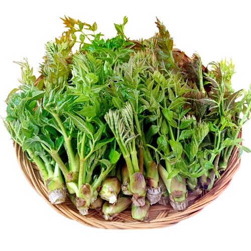 4월 제철 음식과 건강 영양 효능&amp;#44; 맛있는 요리법까지 레시피 추천