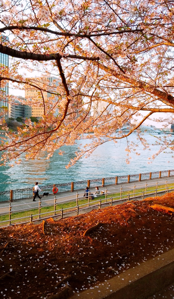 고즈넉한 스미다가와