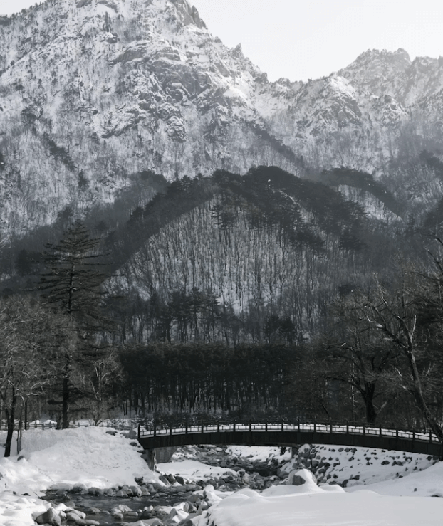 강원도 여행 4만원 돌려받는 법 선착순 꿀팁