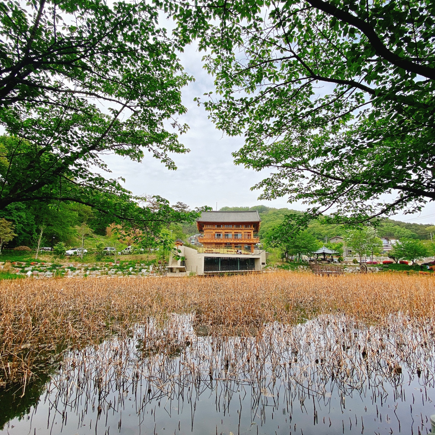 충북 청주 부모산 주봉마을 주봉저수지 한옥 북카페 인문아카이브양림 후마니타스