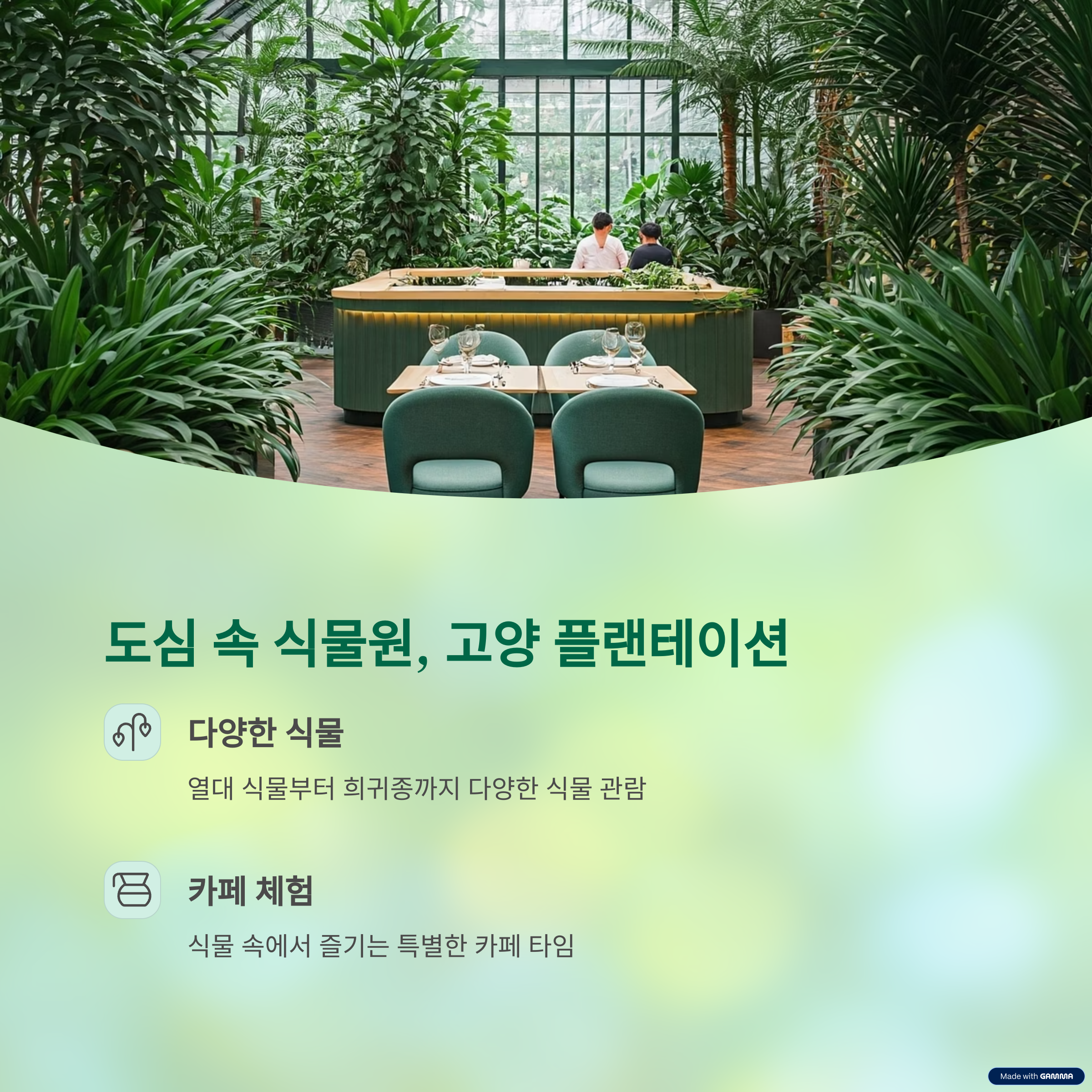 고양 플랜테이션