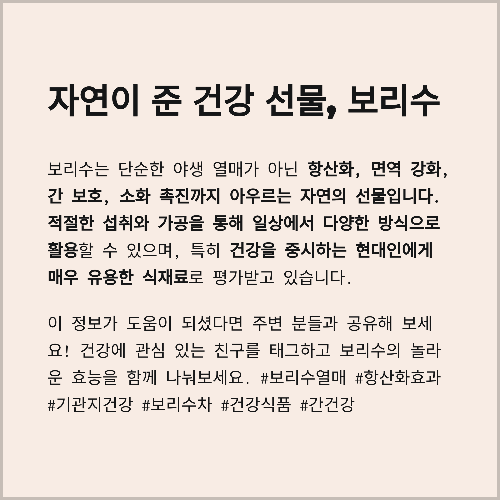 보리수 열매의 놀라운 효능과 효과, 제대로 알아보기