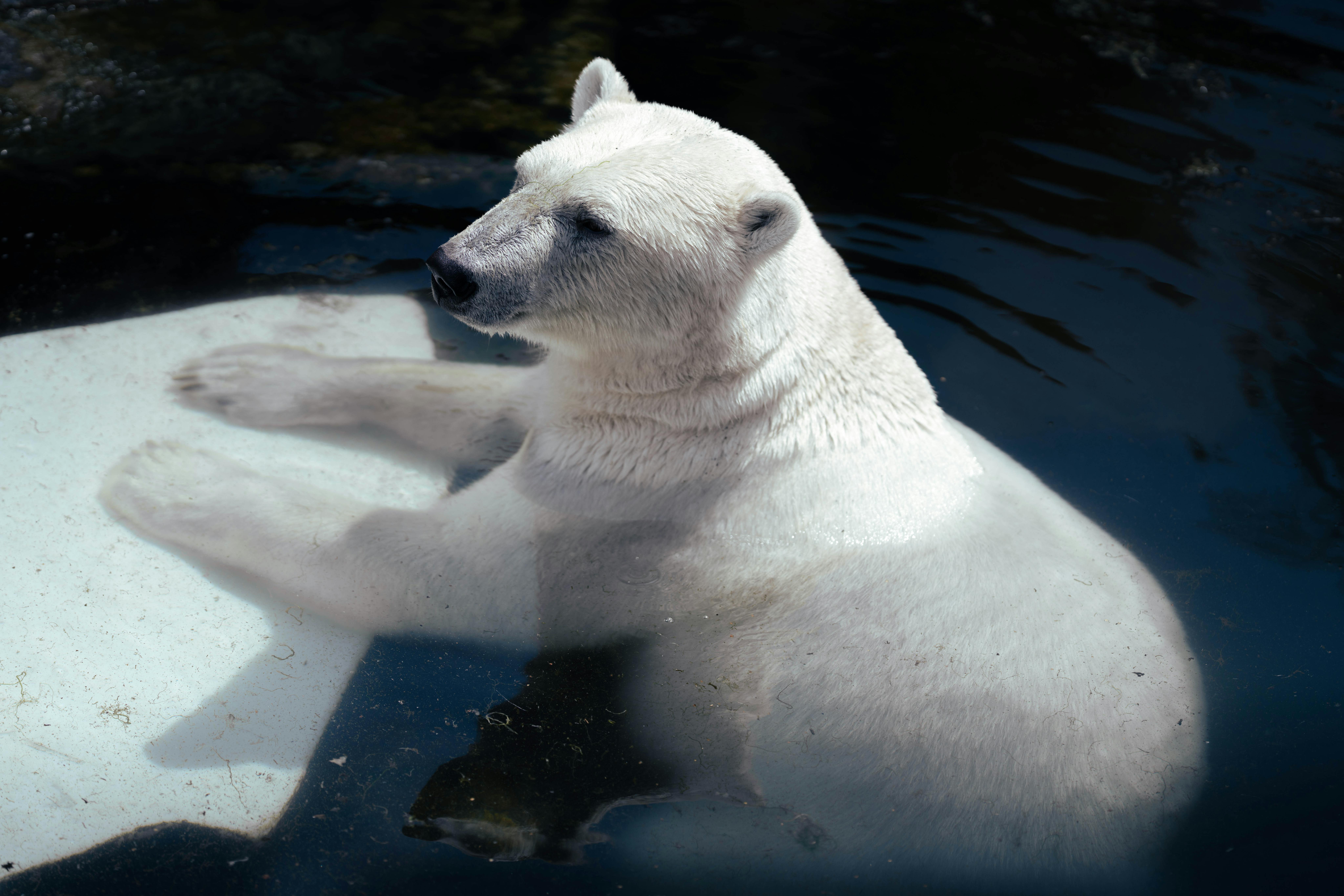 샤오미 선풍기 앱 리모컨 연결 as 고객센터 청소방법 한번에 해결