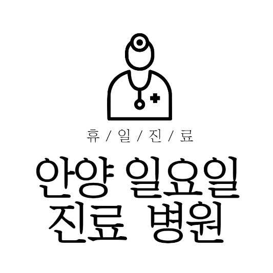 안양 일요일 진료 병원 리스트