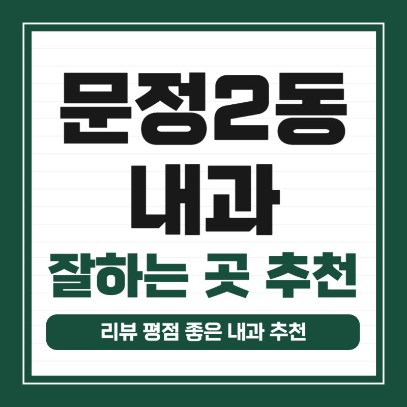 송파구 문정2동 내과 병원 감기 독감 진료 유명한 곳 잘하는 곳 추천