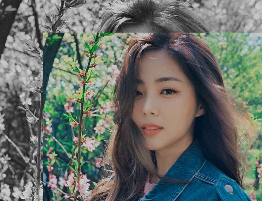 2023 포항 불꽃축제