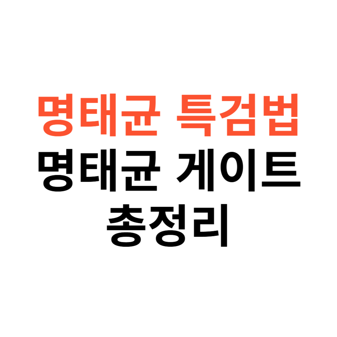 명태균 특검법이란?