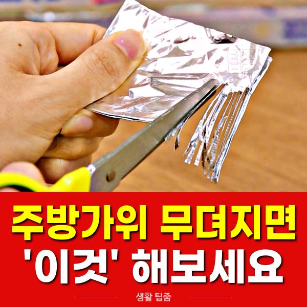 주방가위 무뎌졌을때 이렇게 하세요, 팁줌