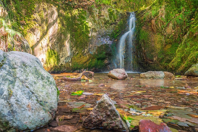 독일 슈바르츠발트 포레스트 폭포