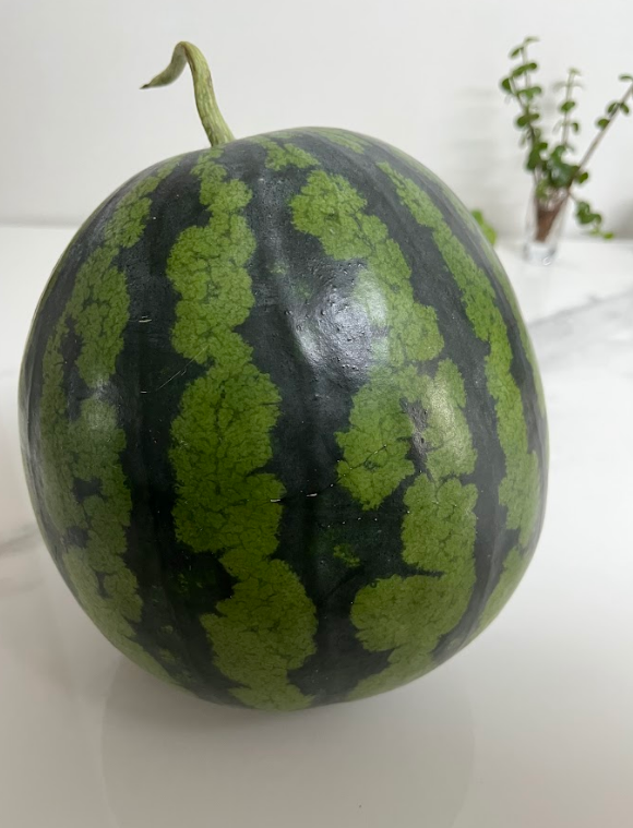 수박 꿀팁, 영양,고르는법,보관