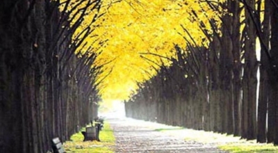 경기도가볼만한곳이미지