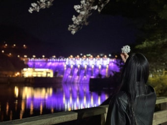 대전 대청소 밤벚꽃 사진