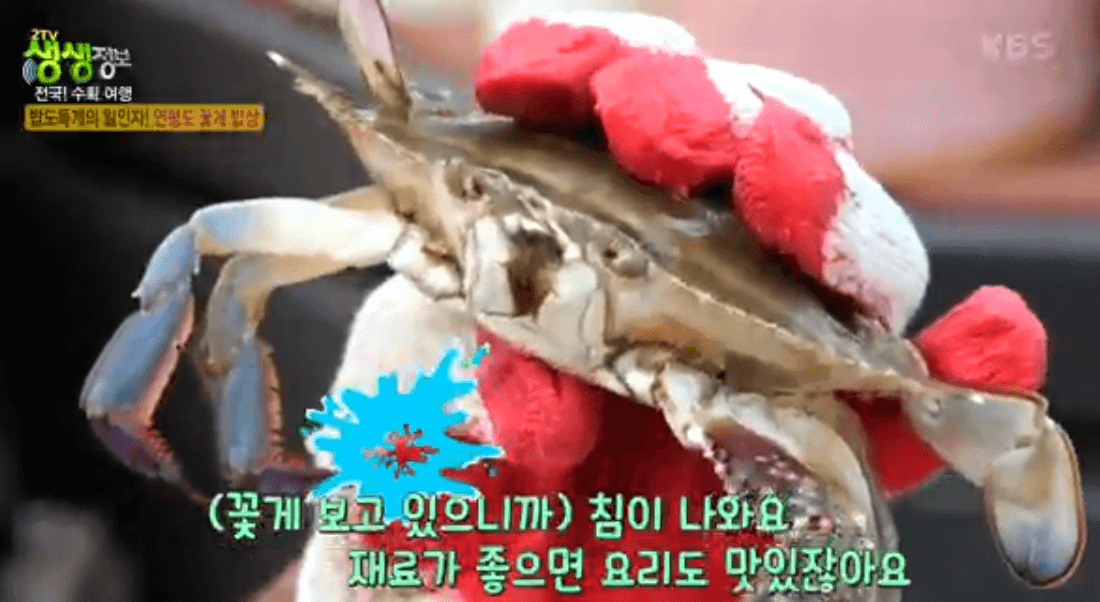 생생 정보통 맛집 식당 정보